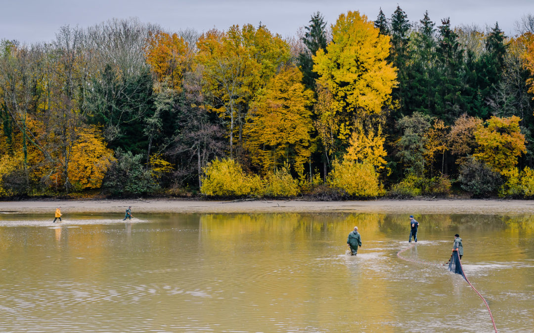 Pisciculture de truite près de Reschel : une production naturelle
