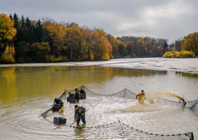 Pisciculture à Strueth