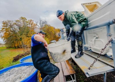 Pisciculture à à Hindlingen