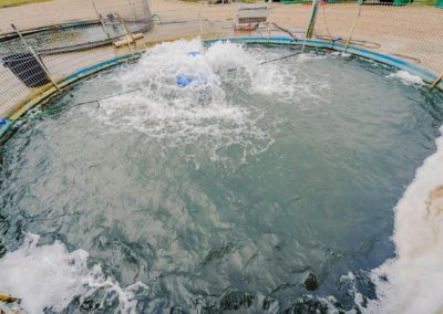 Pisciculture à Reschel